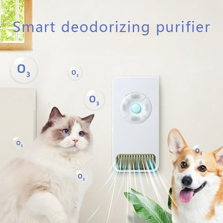 

Negative Ion Air Purifier Mini Portable Negative Ion Suitable For Home Bedroom Bathroom Living Room Toilet Wardrobe Pet Room Black 5231ja2002a