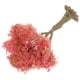 thumbnail image 5 of Árboles en miniatura, modelos artificiales de árboles, mesa de arena, árbol falso, planta en miniatura, figura de árbol para micropaisaje, diorama, paisaje, manualidades DIY, adorno de jardín, 5 of 7