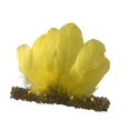 thumbnail image 2 of Diadema de plumas, elegante tocado decorativo con lentejuelas y plumas para fiestas y festivales. Amarillo, 2 of 9