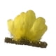 thumbnail image 2 of Diadema de plumas, elegante tocado decorativo con lentejuelas y plumas para fiestas y festivales. Amarillo, 2 of 9