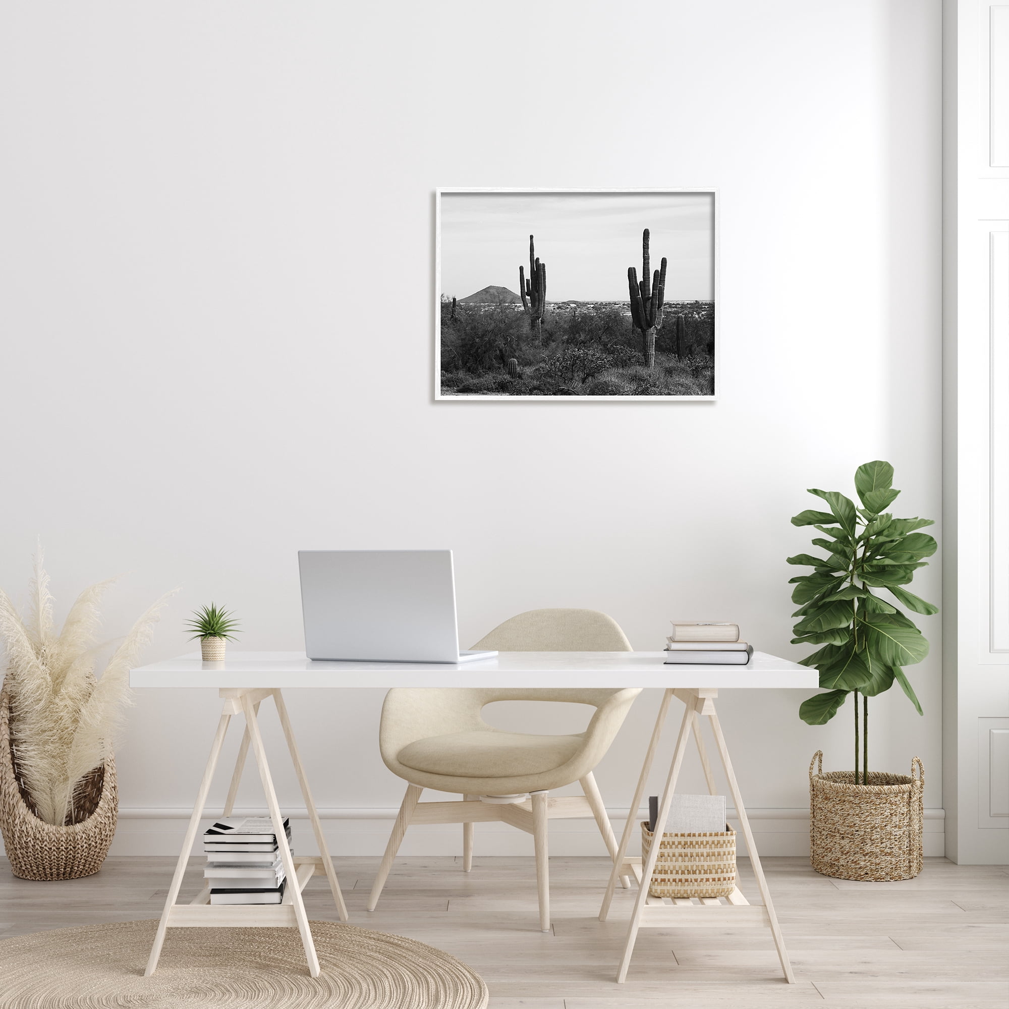 Stupell Industries Desert Cactus Arid Vegetation Monochrome Nature Photography Photograph White Framed Art Print Wall Art, Design by Graffitee Studios