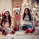 thumbnail image 5 of Collar de perro navideño con lazo, collares navideños para perros con pajarita para perros pequeños, medianos y grandes, 5 of 5