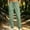 #0432-Green, variant on Womens Jogger Pants Drawstring Elastic Waist with Pockets Tapered Sweatpants Bottoms for Running Hiking Gym