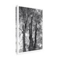 thumbnail image 2 of Elizabeth Urquhart 'Stand Tall I with Border' Canvas Art, 2 of 4