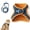 Orange & Blue Spliced - L, variant on Pawras Cat Harness, Escape - Proof Cat Harness & Leash Set - Designed for Outdoor Walking of Small to Medium - Sized Cats