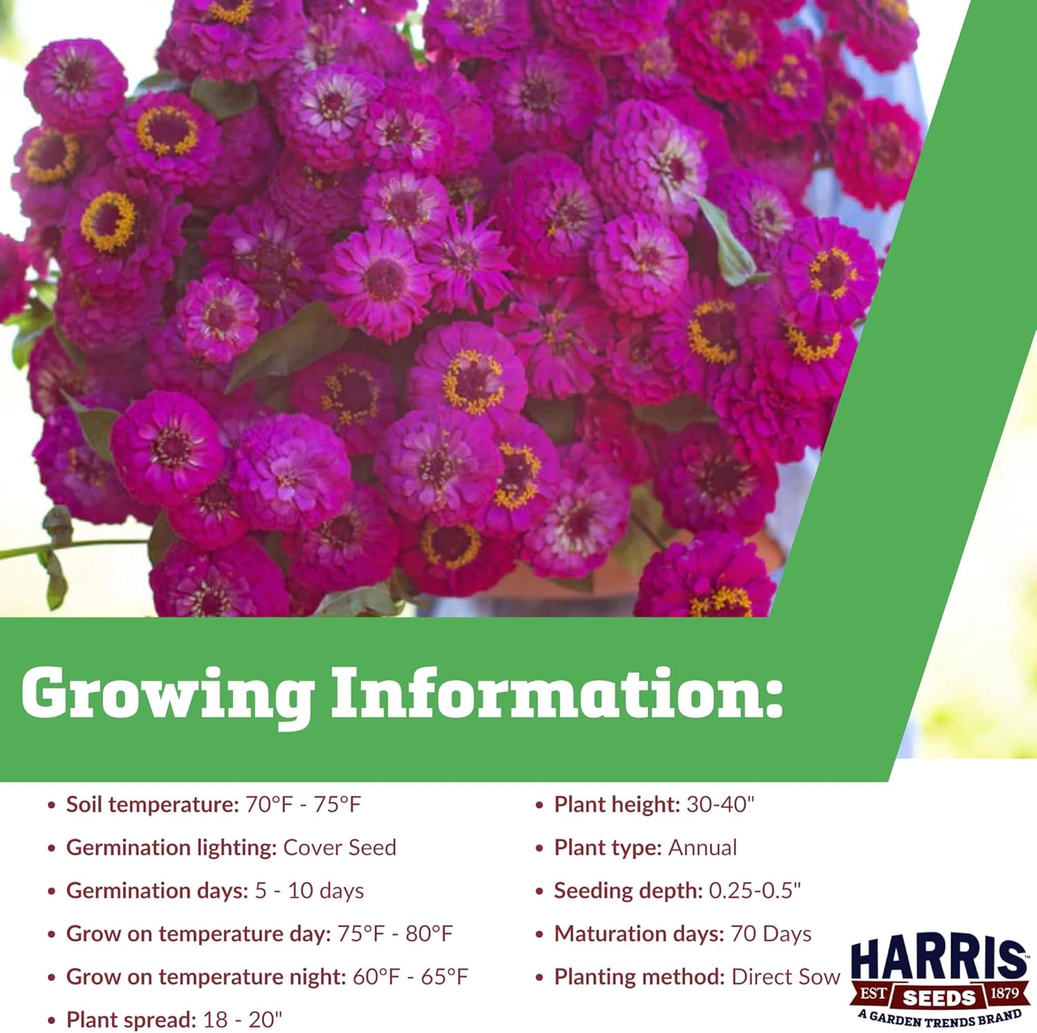 Harris Seeds - Zinnia Oklahoma Carmine Seeds - 1000 Seeds