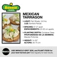 thumbnail image 5 of Bonnie Plants Green Mexican Tarragon Live Plants in Grower Pot, 5 of 8