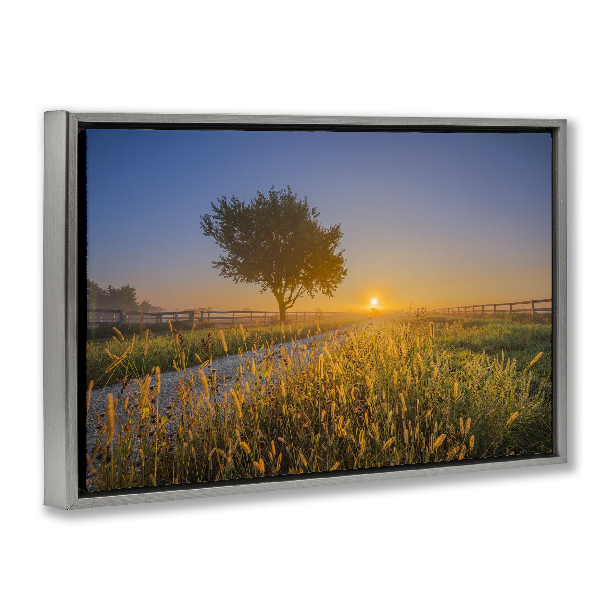 Stupell Industries Rising Sun Horizon Landscape & Nature Photography Gray Floater Framed Canvas Art Print Wall Art, 31 x 21