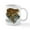White, variant on CafePress - Sierra Nevada Yellow Legged Frog Mug - 11 oz Ceramic Mug - Novelty Coffee Tea Cup