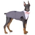 thumbnail image 1 of Set de esmoquin para perros PUMYPOREITY 2XL, algodón gris, 2 unidades, 1 of 7
