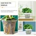 thumbnail image 6 of 10 Pcs Transparent Flower Pot Indoor Plant Pots Plastic Nursery for Plants Clear Flowers, 6 of 7