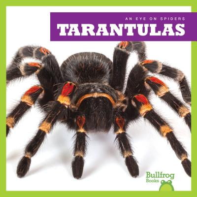 Tarantulas (Best Food For Tarantulas)