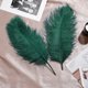 thumbnail image 5 of Plumas de Avestruz Larryhot Verdes de 16-18" Paquete de 10 para Manualidades y Decoración, 5 of 6