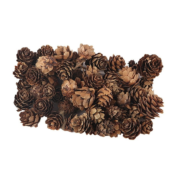 Natural Dried Flower Floral for DIY Epoxy Resin Jewelry Making