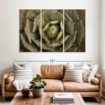 thumbnail image 2 of Elephant Stock Wooden Succulents Wall Art - Horizontal Multi Panel Canvas - Living Room Wall Decor - Floral And Botanical Multi Panel - Brown And Green Decor - 65" x 42", 2 of 4