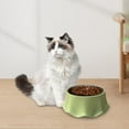 thumbnail image 2 of Cat Bowls Water Skirt Hem Shell and Non Slip Food Bowl Cute for Pet Supplies Green, 2 of 8