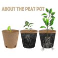 thumbnail image 3 of Round Biodegradable Peat Pots Compatible With Seedlings,100 Pack Plant Starter Pots Kit,perfect Compatible With Vegetables,, 3 of 5