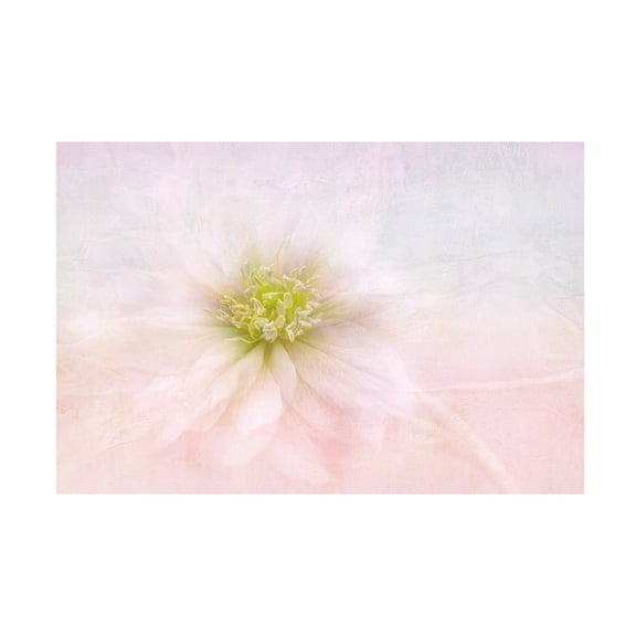 Trademark Fine Art Jacky Parker Over The Rainbow Canvas Wall Art