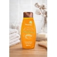 thumbnail image 2 of Aveeno Apple Cider Vinegar Blend Shampoo 532 ml, 2 of 4