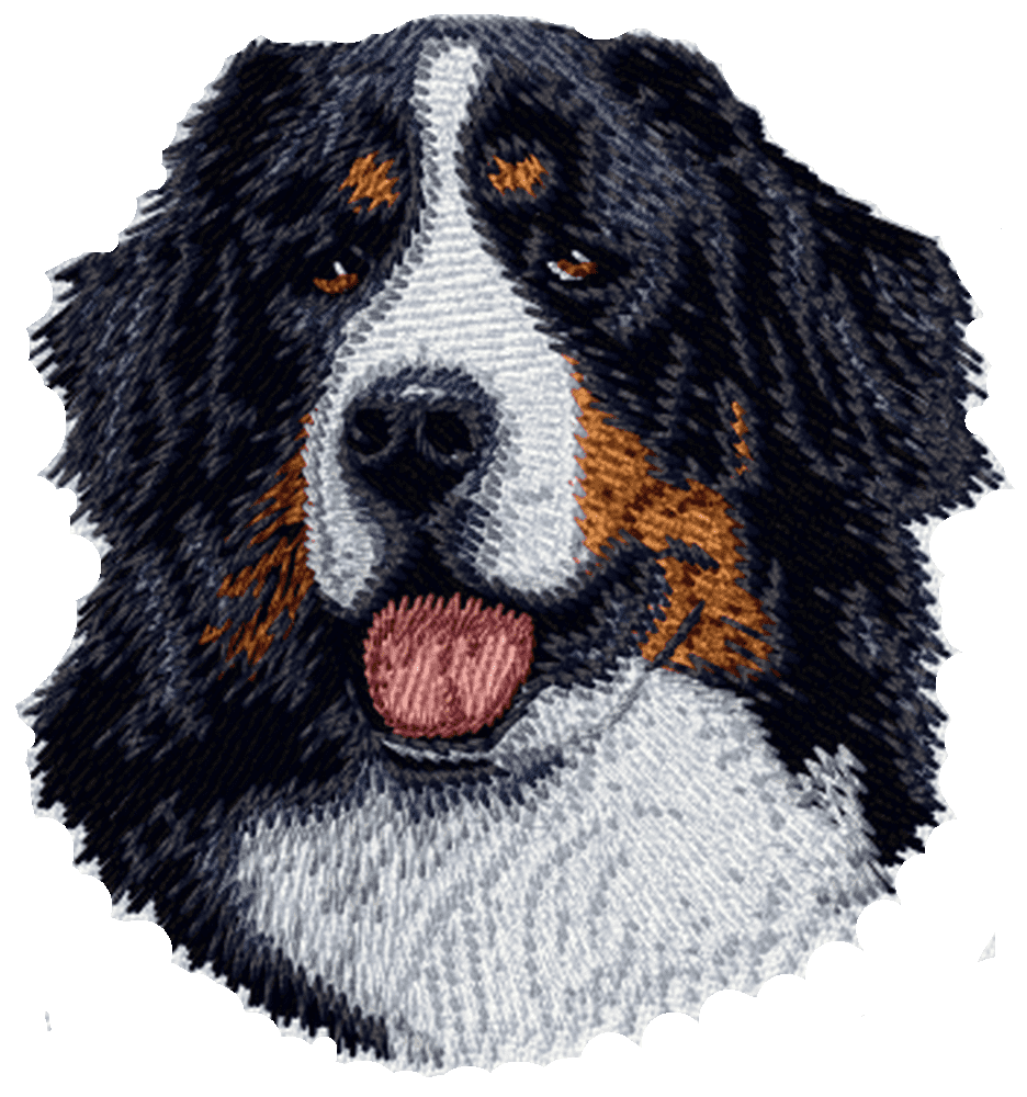 free bernese mountain dog