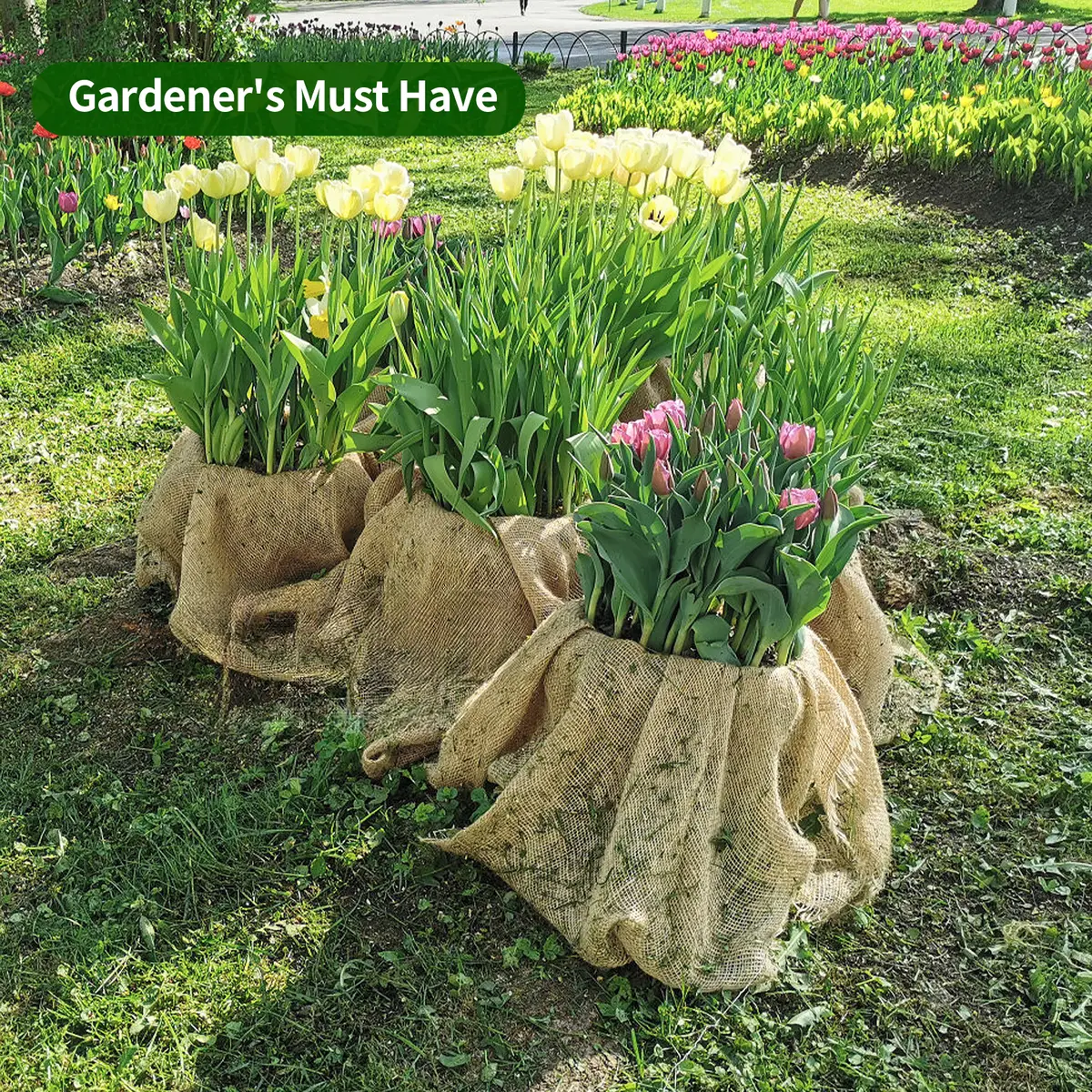 Jute mulch, a natural and biodegradable terroir, suppresses weeds, retains moisture, and provides breathability, suitable for gardens and fruit and vegetable planting.