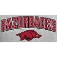 thumbnail image 2 of Men's Ash Arkansas Razorbacks Proud Mascot Pullover Hoodie, 2 of 2