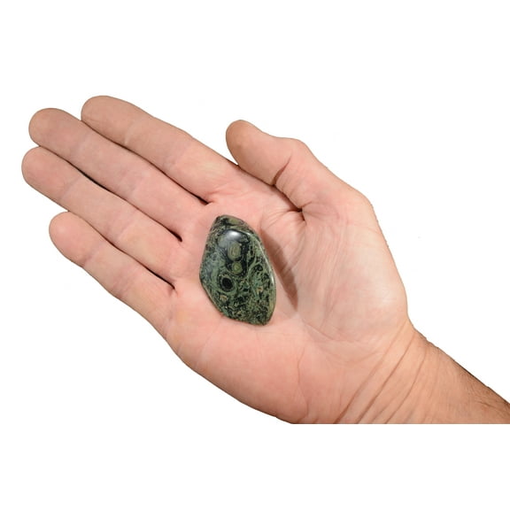 Kidz Rocks Kambaba Jasper 2" 2 oz Tumbled Healing Stone Green Rock Mineral Crystal