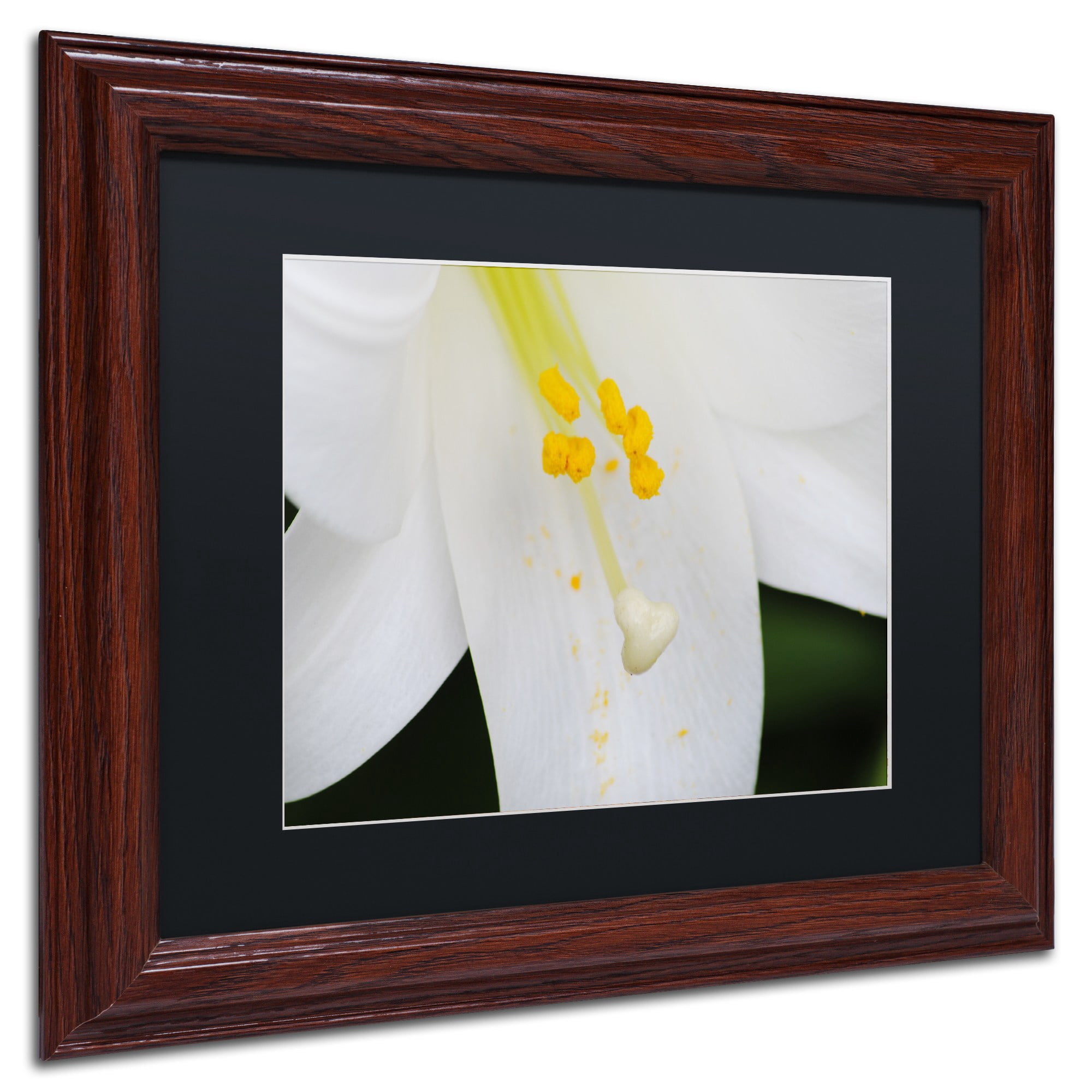 Trademark Fine Art "Adore You" Canvas Art by Monica Mize, Black Matte, Wood Frame