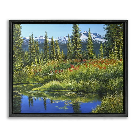 Stupell Industries High Country Summer Landscape & Nature Painting Black Floater Framed Canvas Art Print Wall Art, 21 x 17