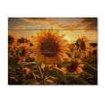 thumbnail image 3 of Designart "Yellow Sunflowers landscape Sunrise I" Floral Print on Natural Pine Wood, 3 of 5