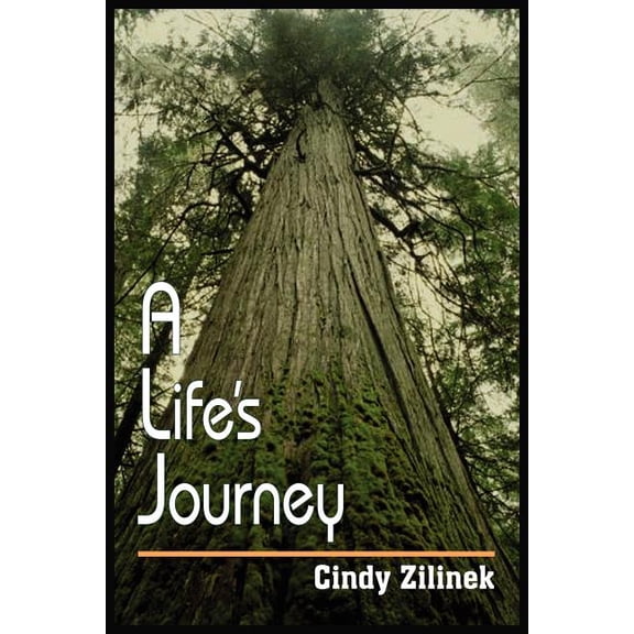 A Life's Journey, (Paperback)