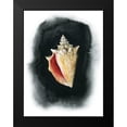 thumbnail image 2 of Popp, Grace 15x18 Black Modern Framed Museum Art Print Titled - Conch on Black I, 2 of 5