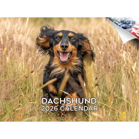 2025 2026 Dachshund Calendar - Dog Breed Monthly Wall Calendar - 12 x 18 Open - Thick No-Bleed Paper - Giftable - Made in USA