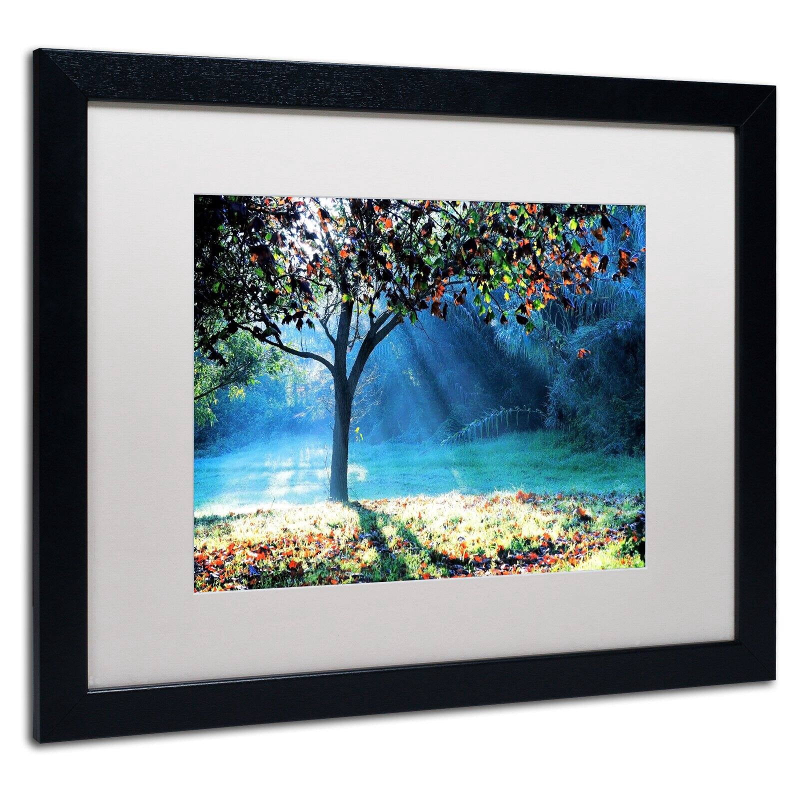 Trademark Fine Art "Rays of Hope" Canvas Art by Beata Czyzowska Young, Black Matte, Black Frame