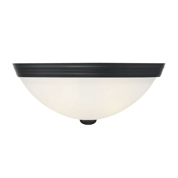 Savoy House Matte Black 2-Light Ceiling Light