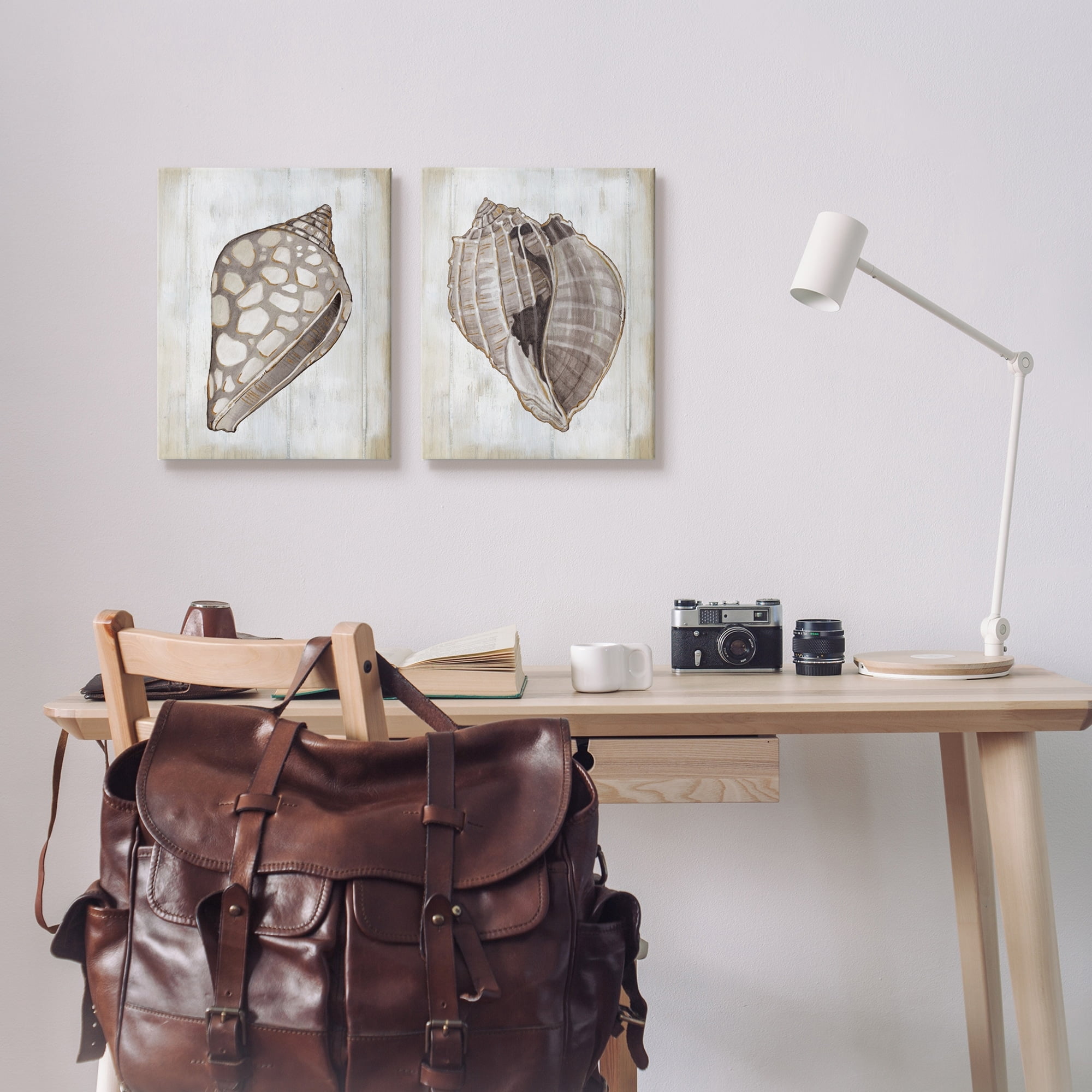 Stupell Industries Spotted Seashell Rustic Marine Life Beach Sign Graphic Art Gallery Wrapped Canvas Print Wall Art, Set of 2, Design by Carol Robinson