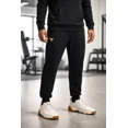 thumbnail image 1 of Pantalon Pants Under Armour Project Rock Rival, 1 of 5