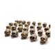 thumbnail image 1 of 40Pcs Simulation Skull Model Toys Modern Mini Skull DIY Halloween Decoration Funny Model Toys Colle, 1 of 5
