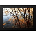 thumbnail image 2 of Hausenflock, Alan 24x17 Black Modern Framed Museum Art Print Titled - Leaves of Orange IV, 2 of 5