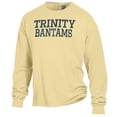 thumbnail image 2 of Men's ComfortWash Gold Trinity Bantams Garment Dyed Long Sleeve T-Shirt, 2 of 3
