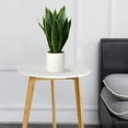 thumbnail image 2 of 16" Faux Potted Plant Artificial Snake Plant with White Ceramic Pot Sansevieria Plant Housewarming Gift Indoor Home Decor, 2 of 5