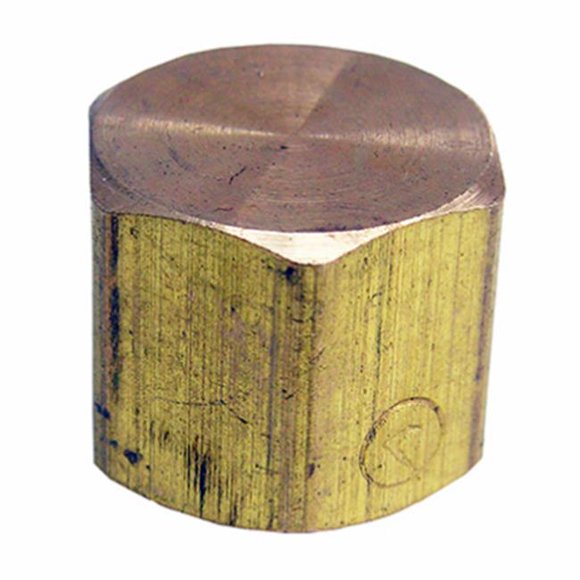 0.25 in. Female Pipe Thread Brass Cap