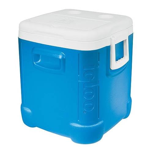 Igloo Coolers 48 Qt. Ice Cube 48 Cooler