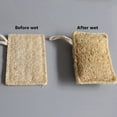 thumbnail image 2 of Loofah Sponge Scrubber, Natural Loofah Pad With Hanging Loop For Dishwashing, Pot Scrubbing, Body Exfoliating, Square Shape Approx 4.3X2.8 Inch Beige Color - Includes Storage Bag, 2 of 8