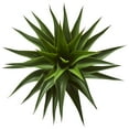 thumbnail image 2 of Nearly Natural 28" Plastic and Polyester Agave Artificial Plant, Green, 2 of 2