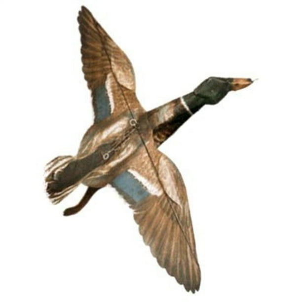 jackite mallard duck drake kite, 32" wingspan