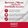 thumbnail image 4 of Nature’s Miracle Advanced Dog Stain and Odor Eliminator for Severe Dog Messes, 32 oz, 4 of 12