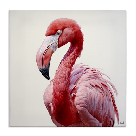 Stupell Industries Transitional Traditional Flamingo Portrait Canvas Art, 17 x 17, by RB