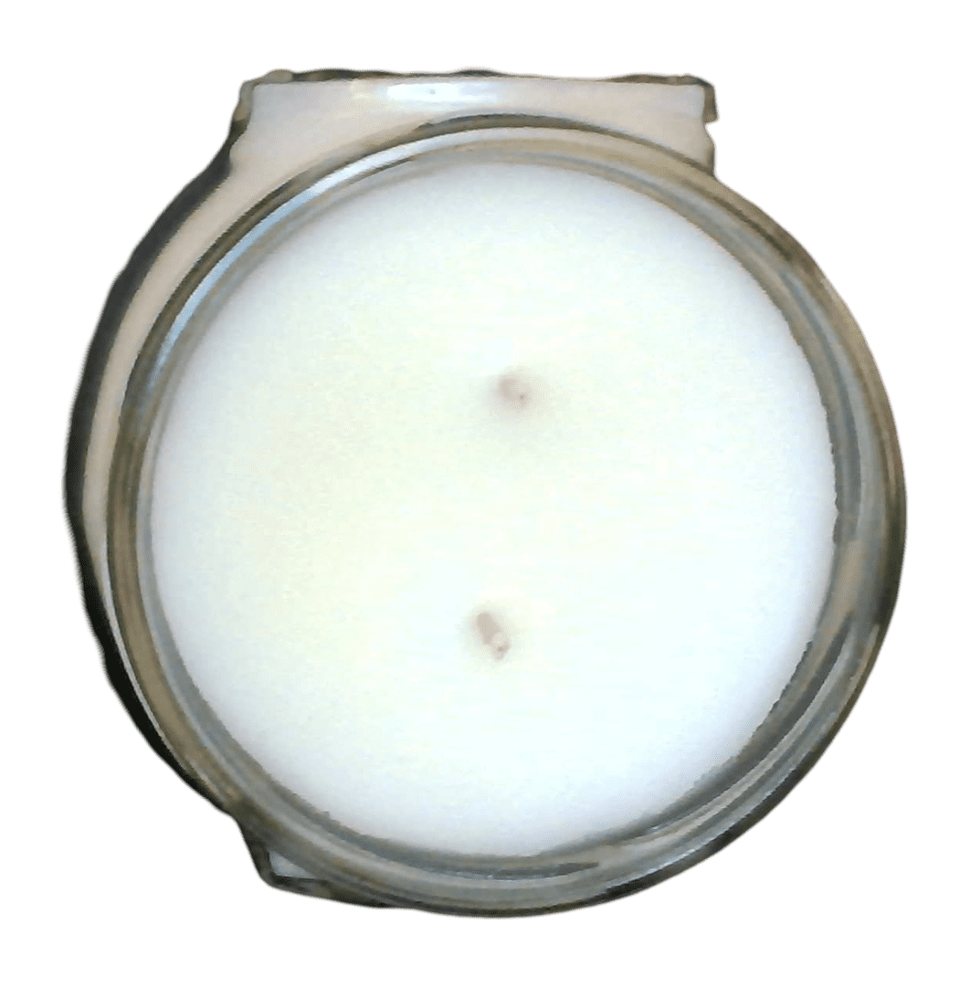 Tyler Candle Company - Pristine - 11oz jar candle - with Tyler matches