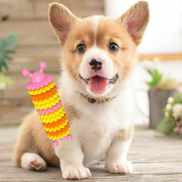 Juguete Perro Juguete TPR Resistente Casi az Colco Perros Masticar